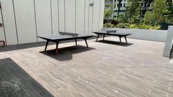 Normanton Park (D5), Apartment #467146251